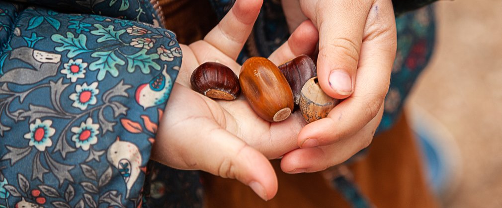 Child holding autumn seeds