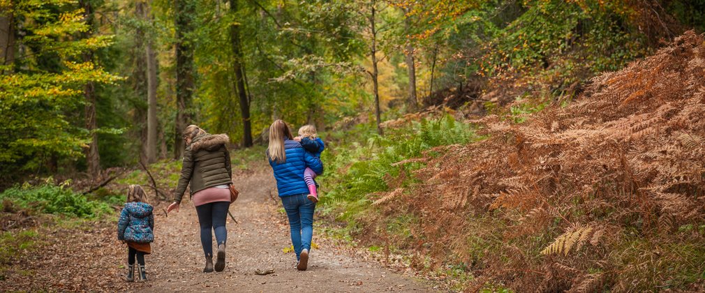 Family walking through autumnal forest