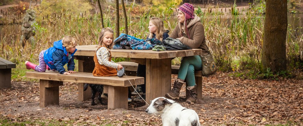 Forestry England’s top 10 picnic spots