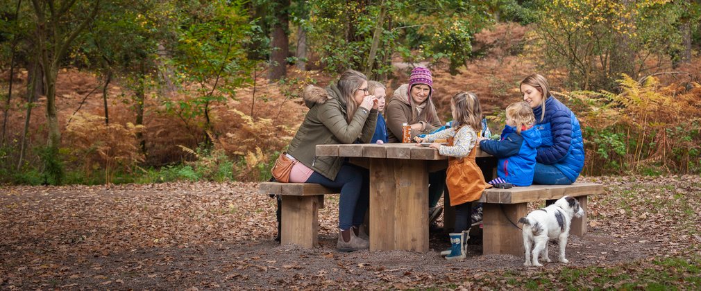 A group of people having a picnic on a picnic bench in an autumnal Forest of Dean