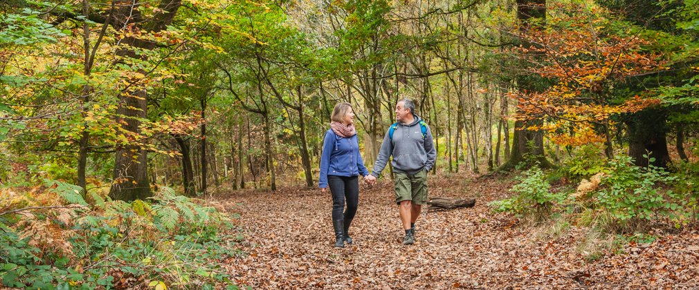 Couple walking in autumn forest