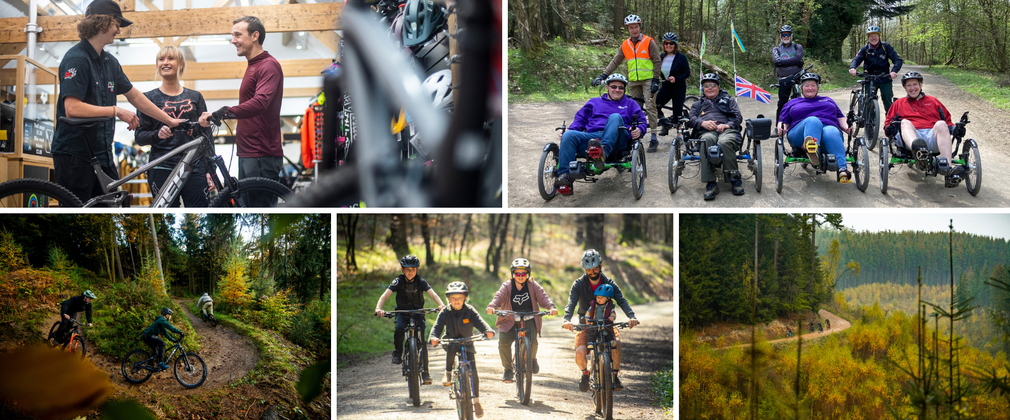 An image collage of forest views and groups of people on various cycling bikes