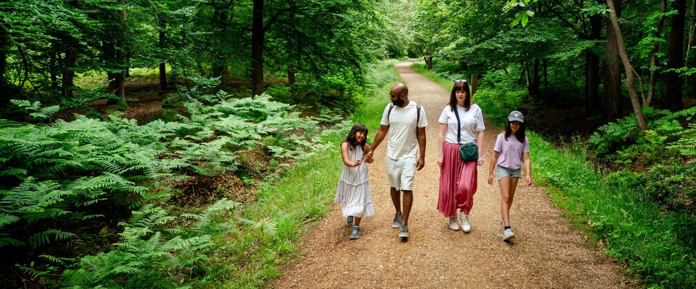 Two adults and two children walking along a forest path.