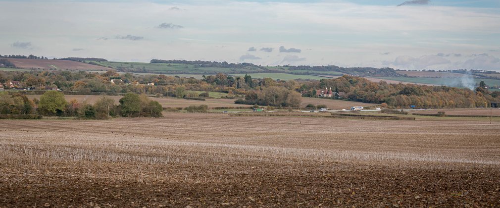 View of fields at Pleasant Forest soon to become new woodland