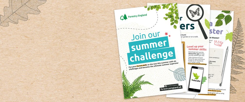 Forestry England Summer Challenge activity sheets 