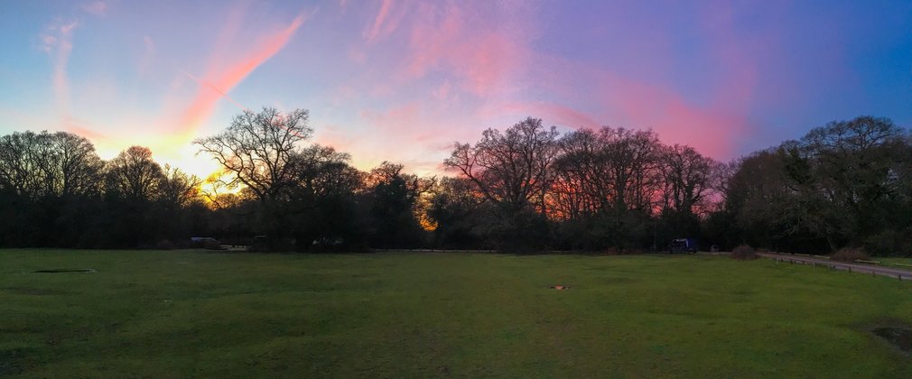 Pink cloud sunset behind tree silhouette