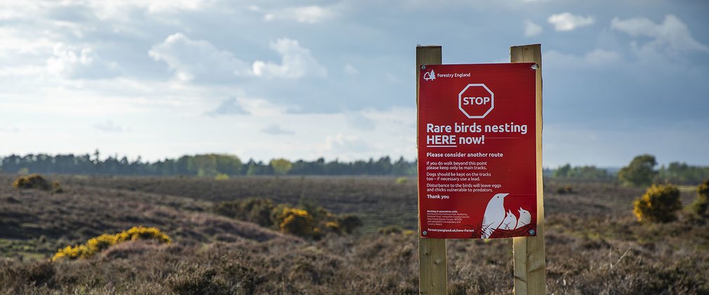 A red stop sign for ground-nesting birds in the New Forest