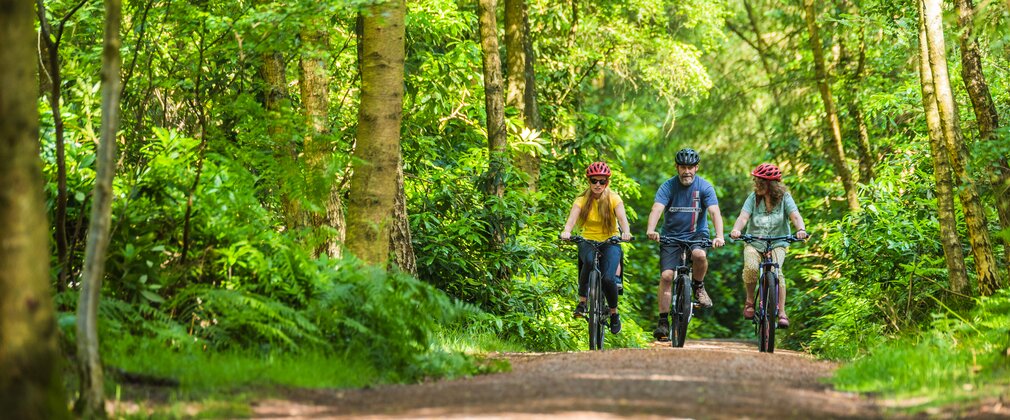 A family of three exploring the forest on bikes 