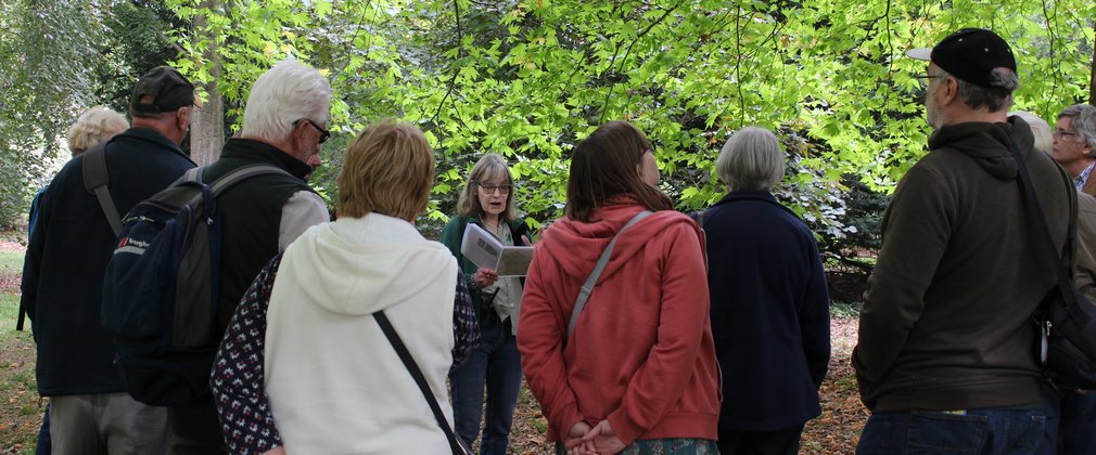 Guided Walk Westonbirt