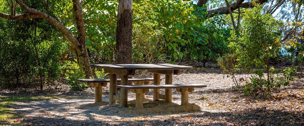 Picnic table in forest