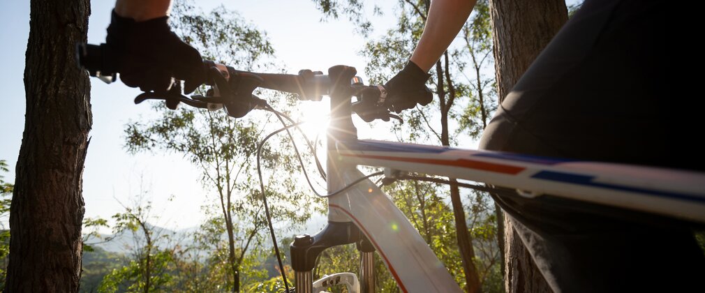 A person holds the handles of a bike as they look at the view