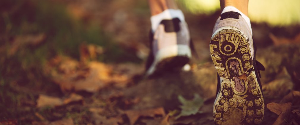 Running trainers on forest floor