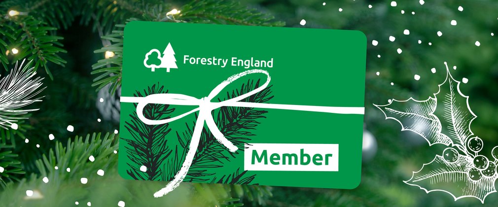 Gift Membership for Christmas
