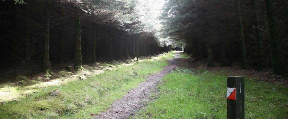 Orienteering route at gisburn 