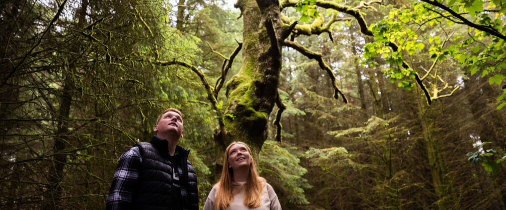 A couple in a woodland looking up at a sunlit tree.