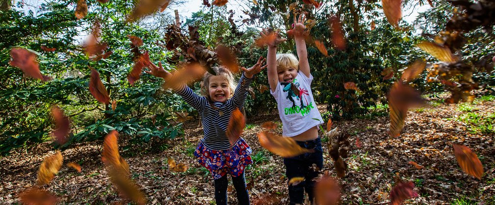 kids throwing leafs in forest