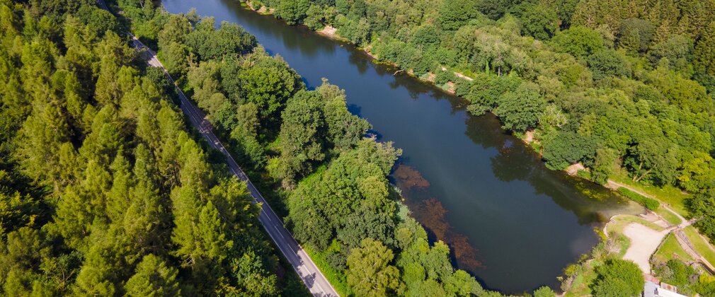 Aerial image of Lower Cannop Pond, a reservoir within a forest