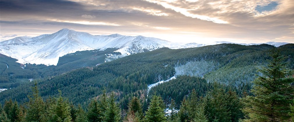 Grisedale Pike and Whinlatter forest from Seat How credit Steve Blake