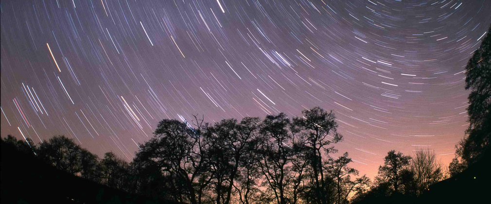 Long exposure night sky over trees