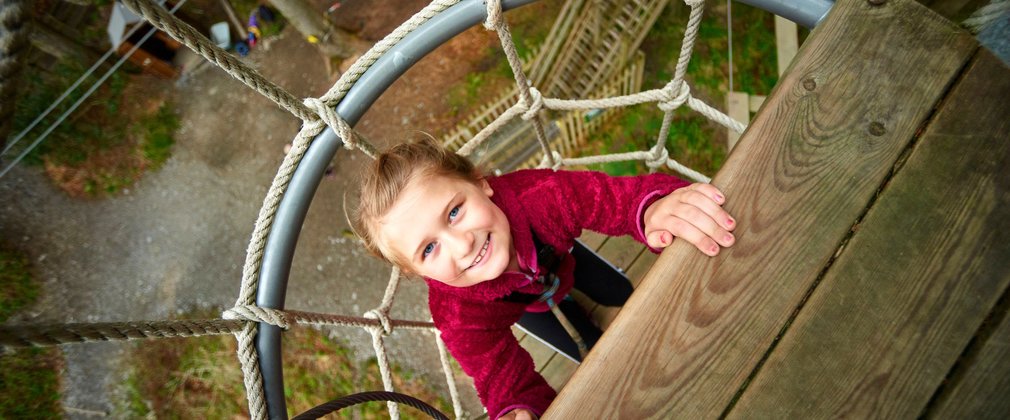 Go ape tree top junior Grizedale 