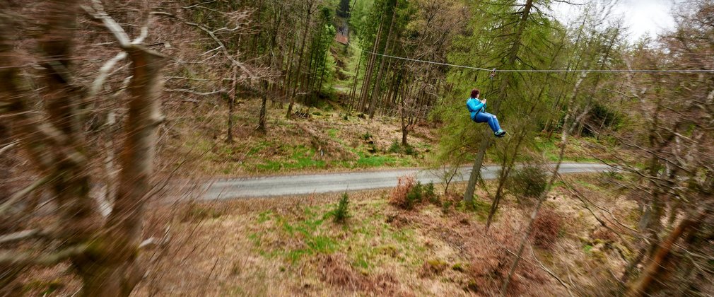 Go ape zip trekking adventure Grizedale 