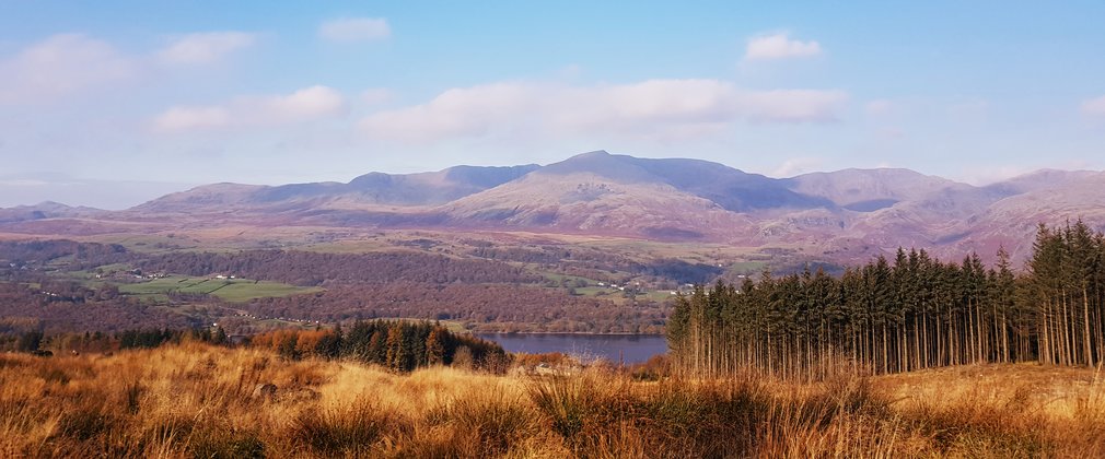 Autumnal landscape with lake and mountains in background