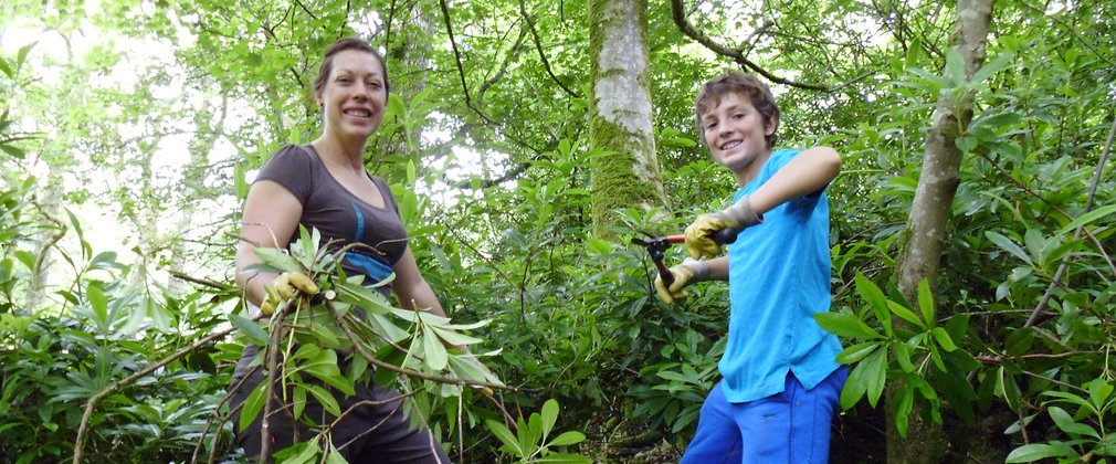 Grizedale family volunteering 