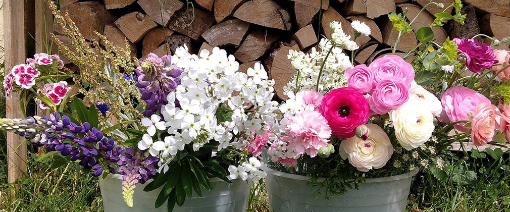 2 Silver buckets with beautiful cut flowers pocking out the top.