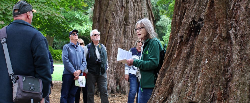 Guided Walk Westonbirt