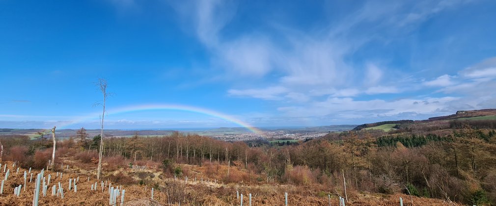 Guisborough Rainbow