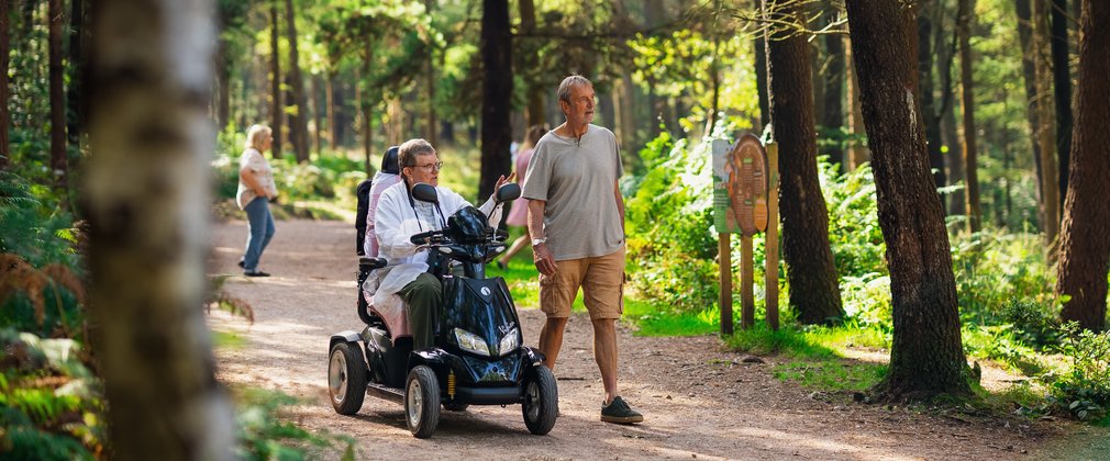 A Tramper user and walker on a wide flat forest trail