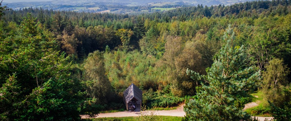Aerial view of Discovery Trail Haldon Forest Park