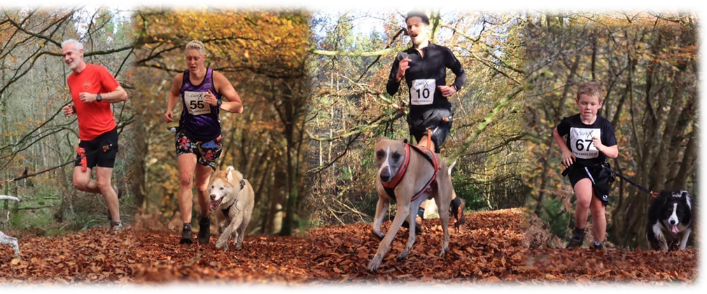 a montage of images of men, women and children running with dogs