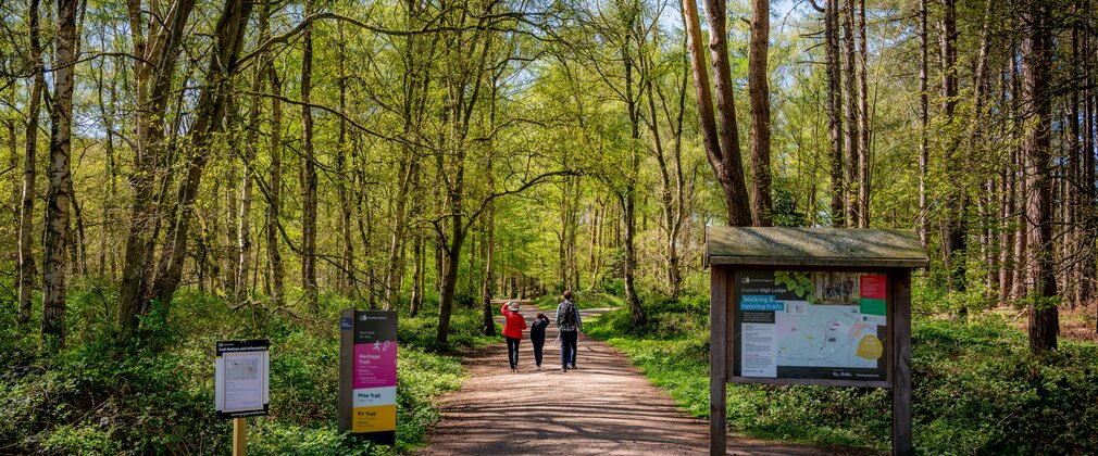 A family of three walk down a sunny trail at High Lodge Thetford Forest