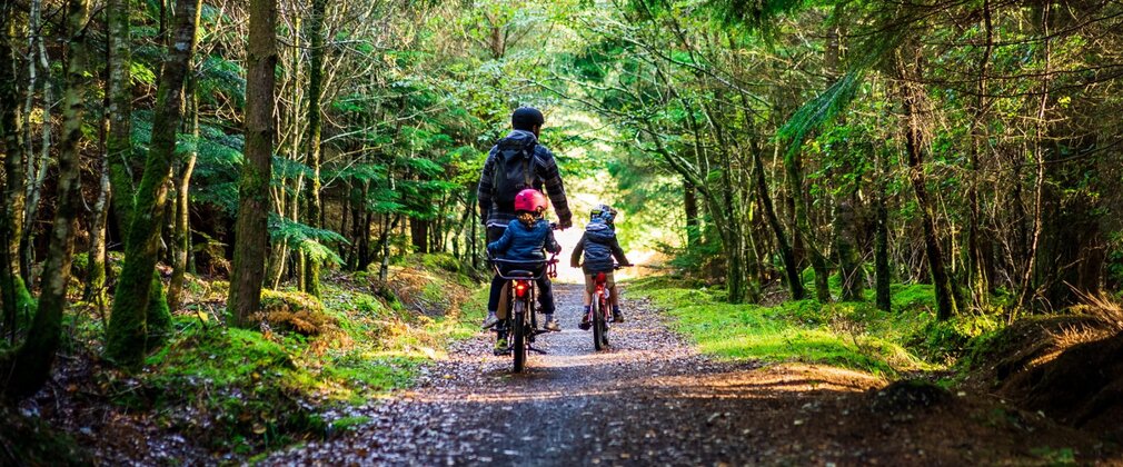 Seen from behind, a man cycling on a forest path with a child in a rear seat and another cycling alongside