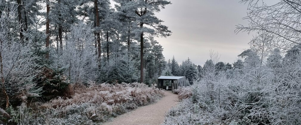 Haldon Forest Park wildlife hide in the frost