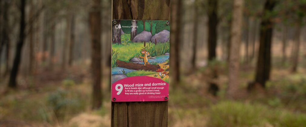 Gruffalo orienteering marker