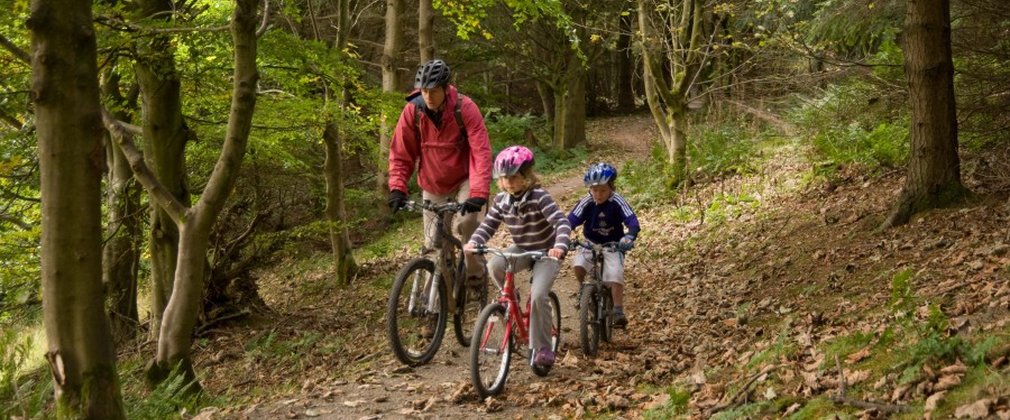 Family on bike ride in the forest