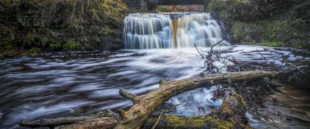 Small waterfall in forest