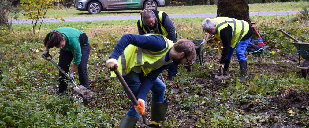 A group of volunteers and a Forestry England staff member digging in a woodland area in front of a Forestry England branded car.