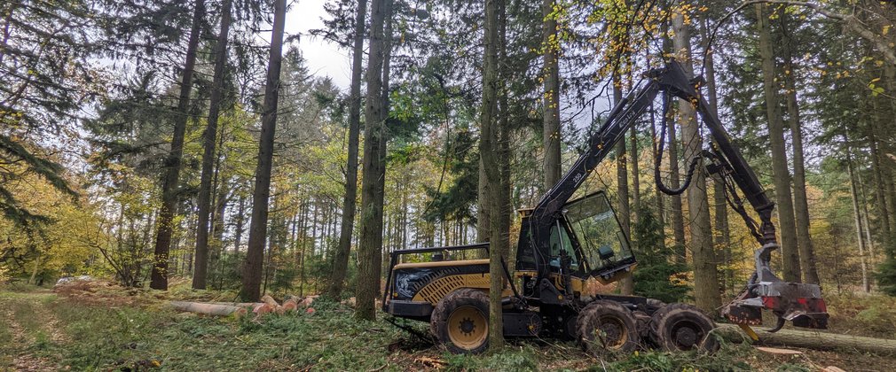 Harvester in Savernake Forest