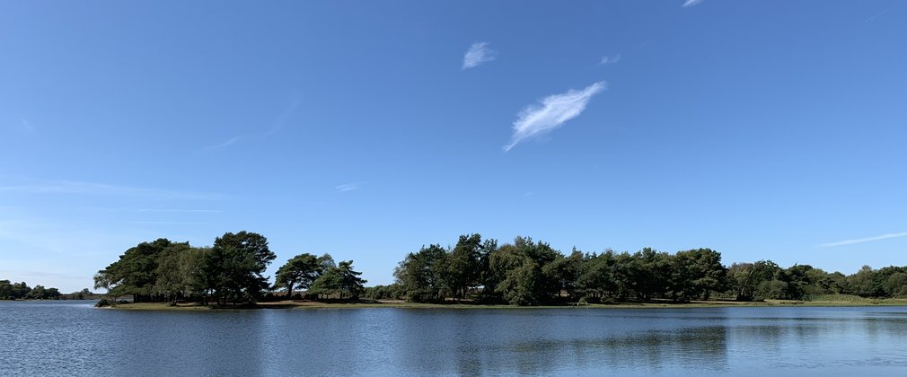 Hatchet Pond in the summertime