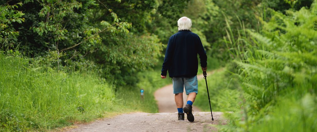 A man walking with a stick on a trail through a forest