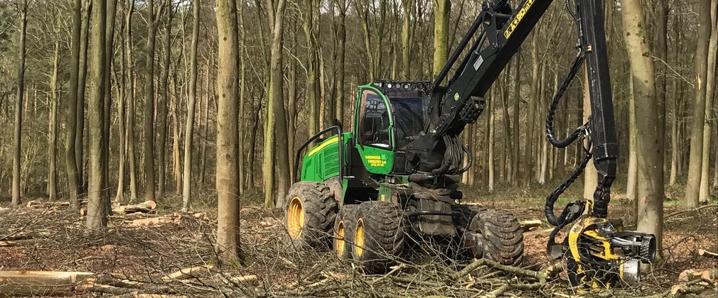 Photo shows a broadleaf woodland scene in winter; there are no leaves, and all of the trees are evenly spaced and with straight trunks. In the centre of the photo is a harvester, which has a green cab for the operated atop tractor grade wheels, to get over the woodland floor. The arm is on the ground picking up a log. In the foreground lots of small branches are on the ground, lying on top of larger pieces of cut wood.