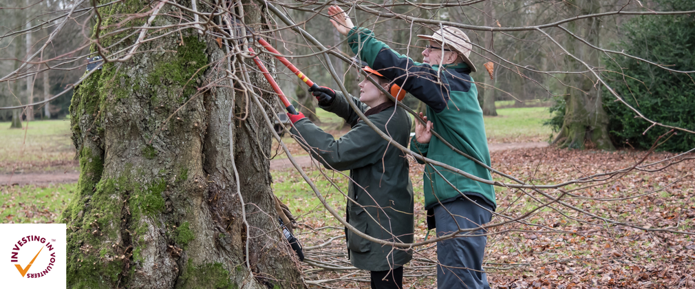 Westonbirt Volunteer