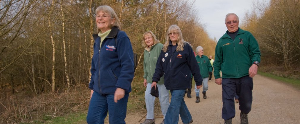 Health walk event at Whinlatter