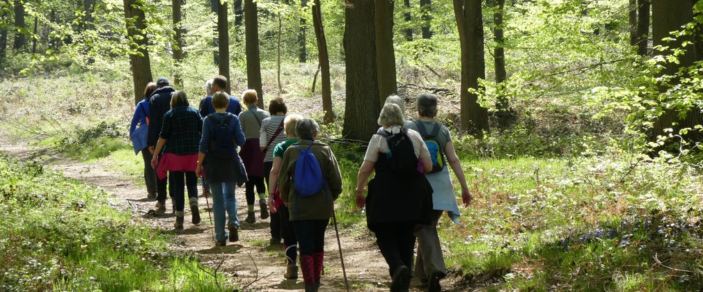 Group of people walking through a forest