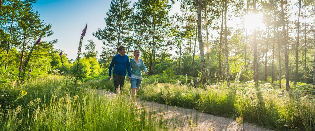 Couple walking along trail with sun shining through trees 