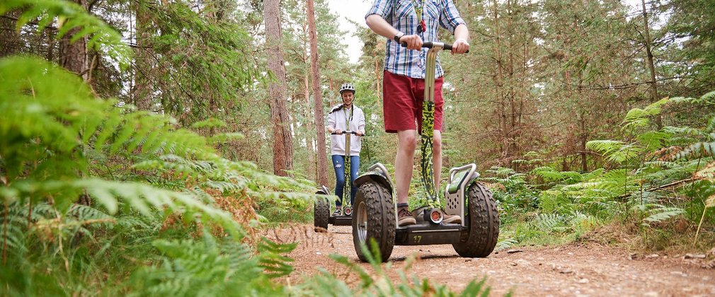 Two people use segways through Thetford Forest