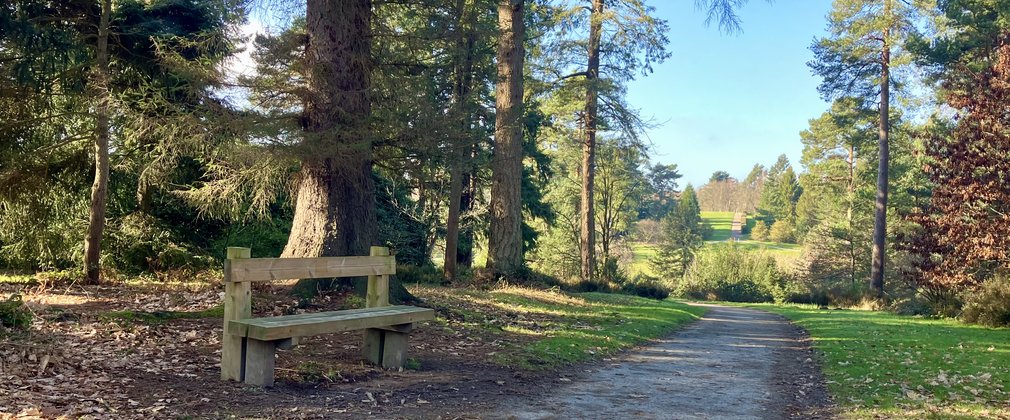 A bench surrounded by trees and a view across a valley